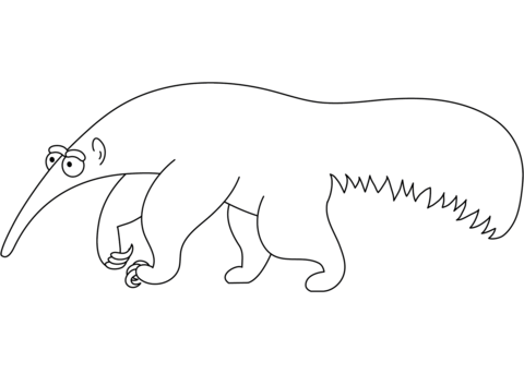 Funny Anteater Coloring Page